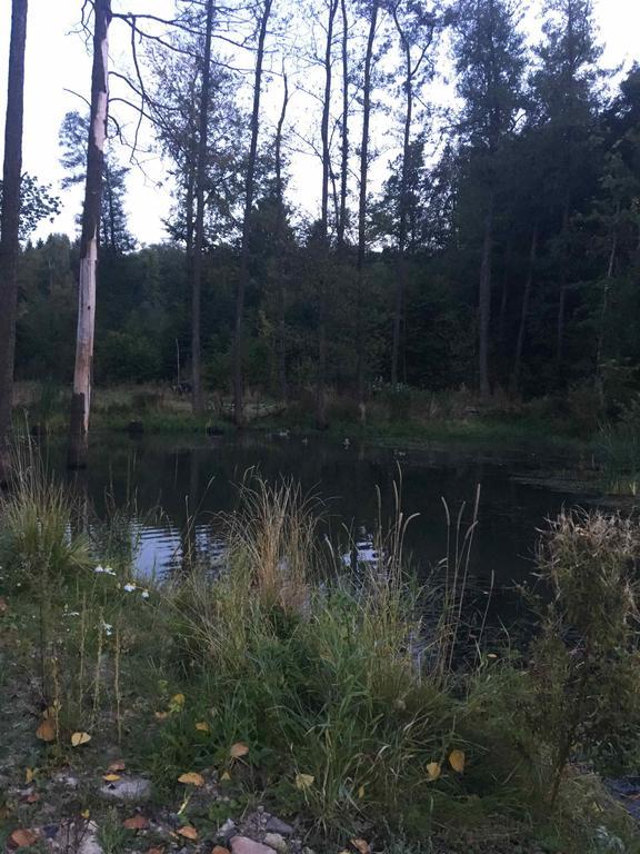 Altmarkblick Erbenhausen Eksteriør bilde